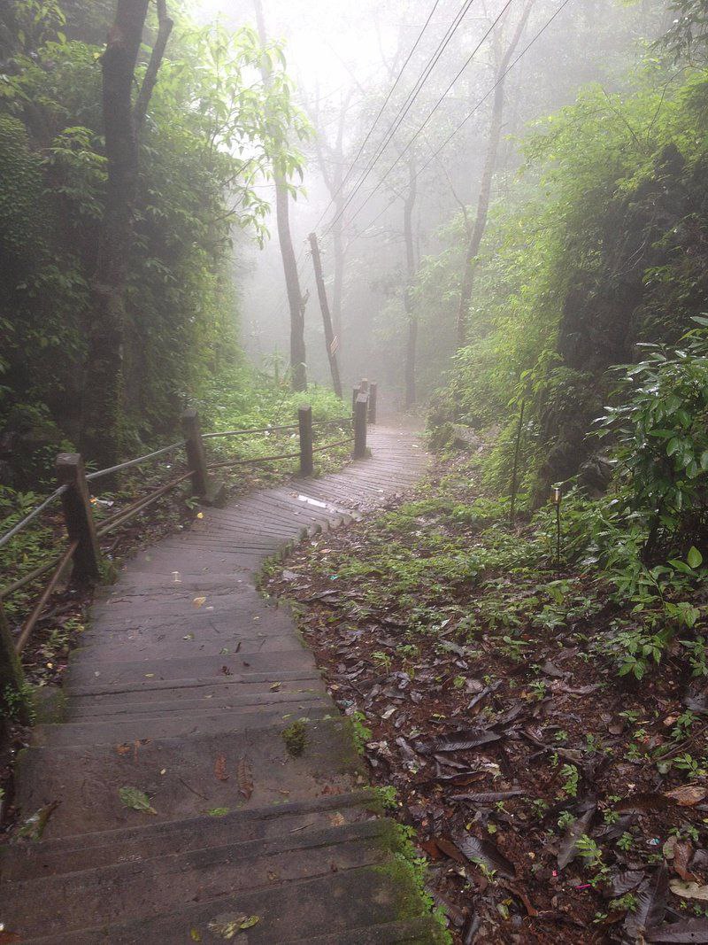 Hiking Path